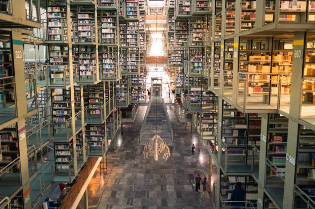 Bibliothèque municipale, illustration pour Hautes-Pyrénées